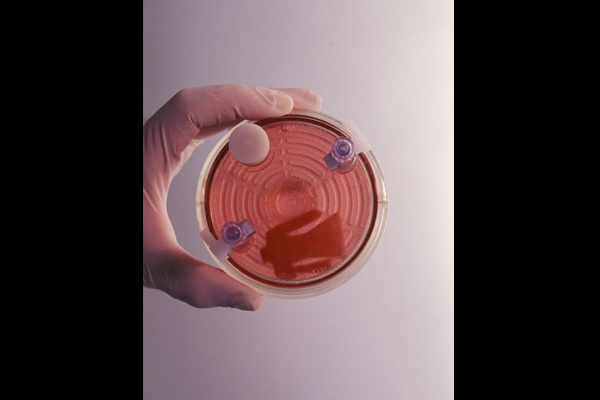 science-industrry-2